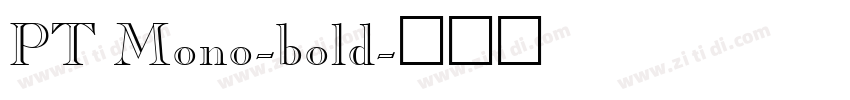 PT Mono-bold字体转换